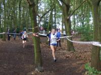 01/11/2008 - National x-c relays - Mansfield