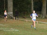01/11/2008 - National x-c relays - Mansfield
