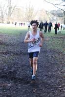 25/01/2025 - Northern x-country at Tatton Park